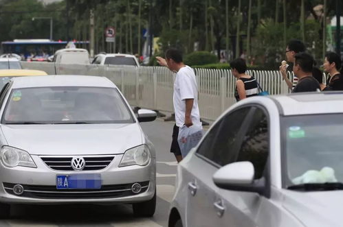 意大利汽车逆行罚款多少