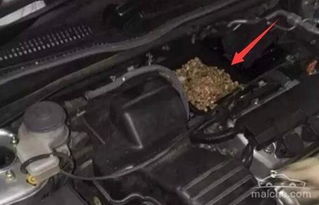 汽车前盖宽度多少