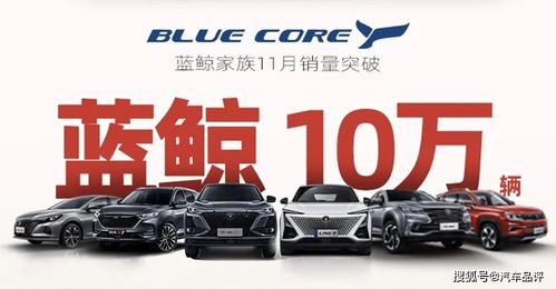 蓝鲸等于多少辆汽车 蓝鲸等于多少辆汽车