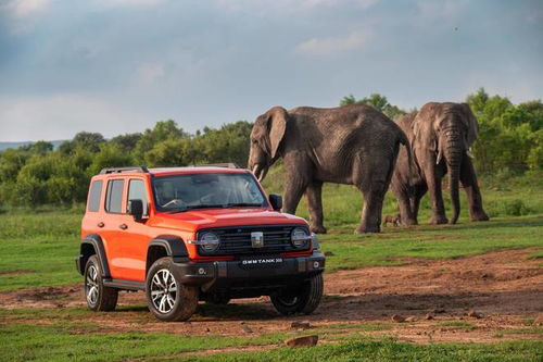 坦克汽车价格多少 坦克汽车价格多少