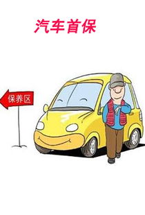 汽车首保多少项