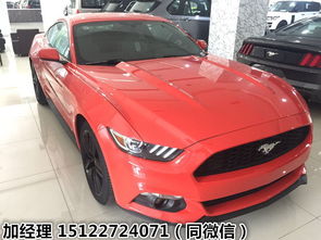 野马汽车售价是多少