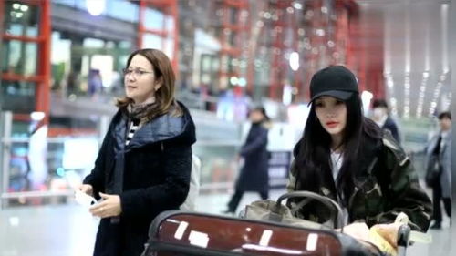 李小璐汽车多少钱