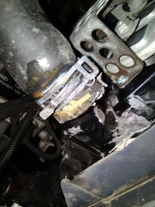 汽车水箱水管直径多少