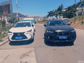 汽车活押能借多少 汽车活押能借多少