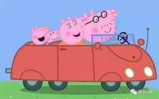 小猪汽车帽子答案多少