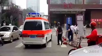 佛山汽车交罚款多少 佛山汽车交罚款多少