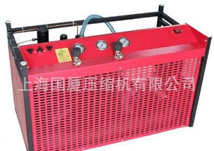 汽车打气泵排量多少