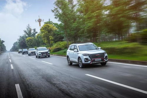 汽车拉多少水合适