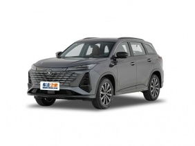 大圣汽车预售价多少