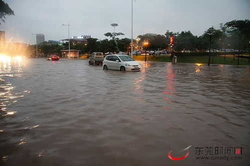 东莞有多少汽车被淹
