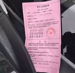 泌阳罚单汽车罚款多少