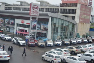 上海崇明有多少汽车