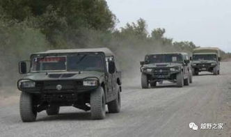 大金钢汽车多少吨位