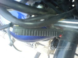 汽车疝气灯多少伏