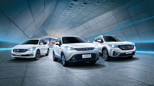 威远汽车政府补贴多少