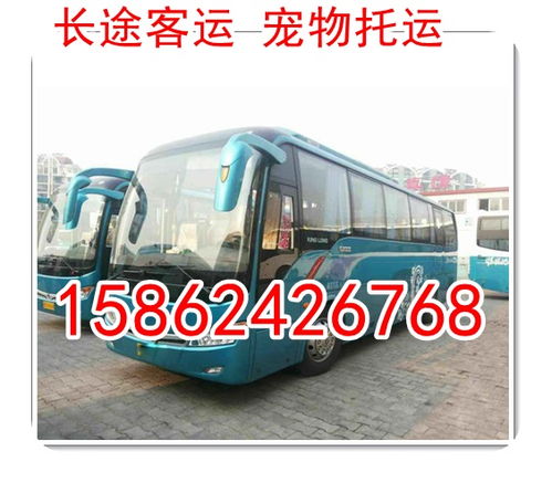 邯郸汽车客运票价多少