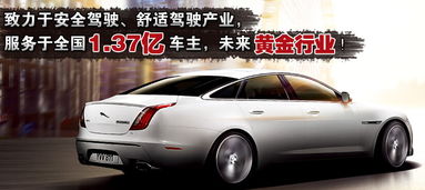 汽车荷叶多少钱