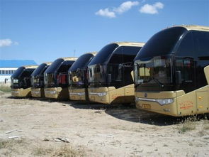 武汉到保康汽车多少