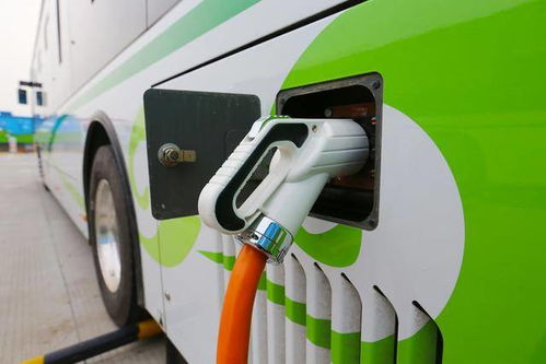 鹿泉汽车政府补贴多少