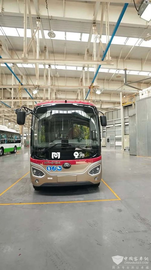 卡塔尔奖励汽车多少辆