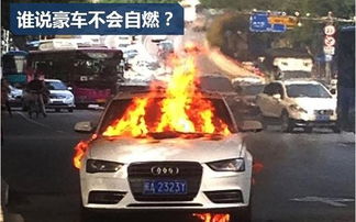 全险汽车自燃赔多少 全险汽车自燃赔多少