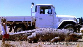 巨型汽车旅程多少公里 巨型汽车旅程多少公里