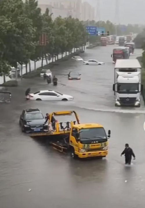 郑州暴雨淹多少汽车