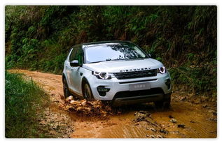 四驱汽车知多少