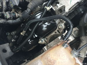 汽车换水箱价格多少