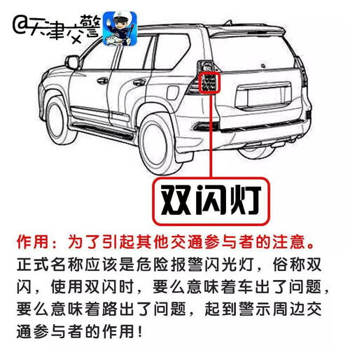 汽车有多少种灯泡