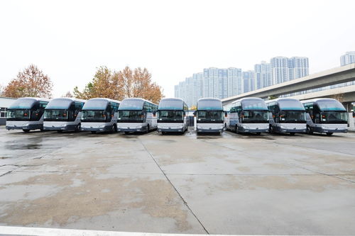 固安有多少辆汽车