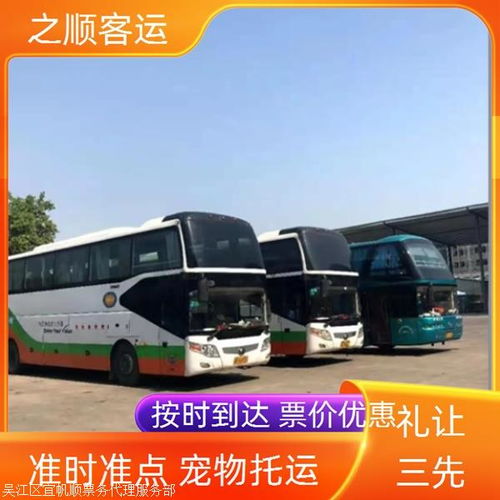 方城汽车价格多少