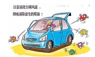 接亲需要多少量汽车