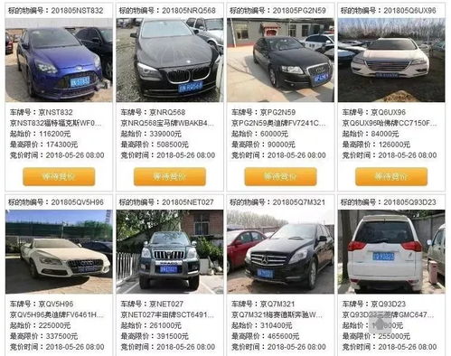 汽车摇号放多少