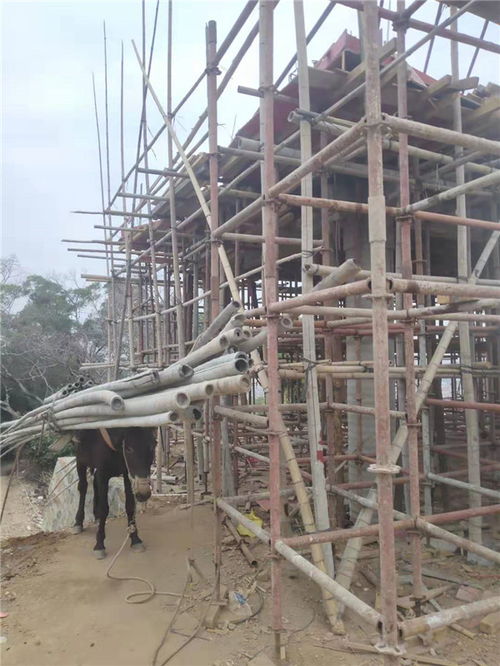 汽车钢架承重多少吨