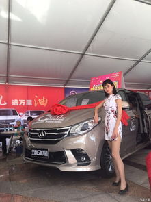 湖北恩施有多少汽车