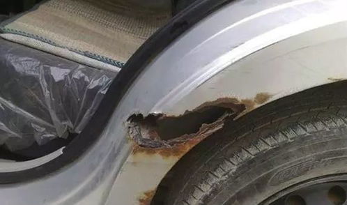 有多少汽车容易生锈