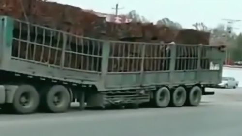 汽车拉棉花多少吨