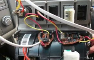 汽车漏电电流多少天 汽车漏电电流多少天