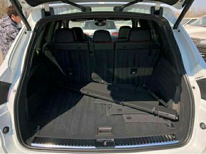 汽车修复铂金费用多少