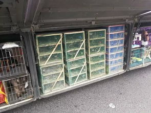 汽车货箱有多少方 汽车货箱有多少方