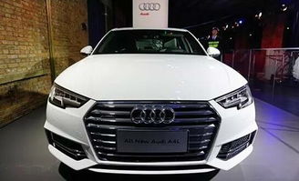 新款品牌汽车品类多少