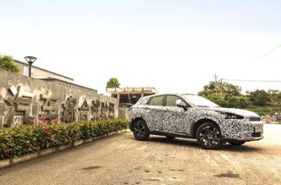 汽车绿本重量多少