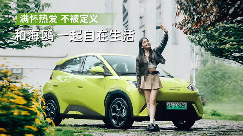 海鸥汽车重量有多少