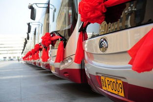 邮政有多少辆汽车 邮政有多少辆汽车