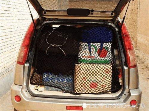 汽车拉东西罚多少