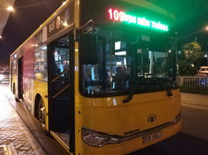 胡志明汽车多少钱