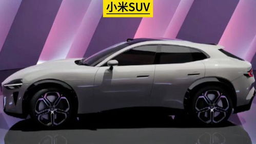 小米suv汽车定价多少