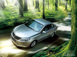 呼市汽车总量多少辆 呼市汽车总量多少辆